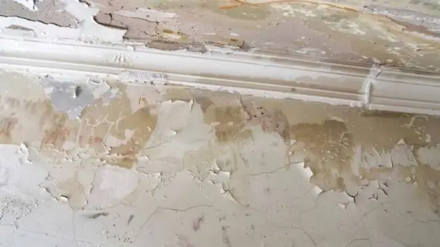 Peeling paint and water staining on a wall below crown molding