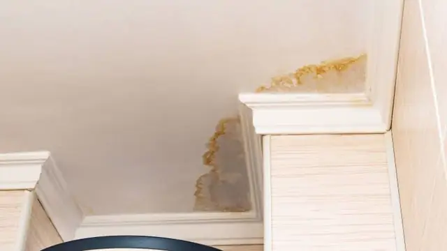 Brown water stain on a ceiling near crown molding