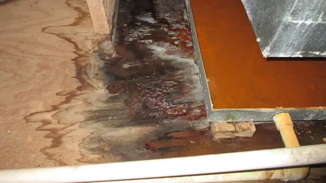 Water-stained plywood subfloor with a lifted floor panel