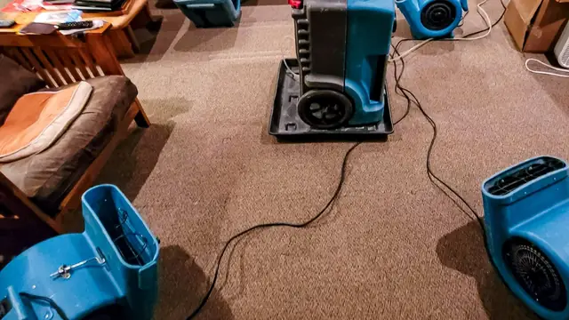 Air movers and a dehumidifier drying wet carpet in a furnished room