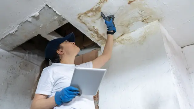 Inspector with a tablet pointing at water damage on a ceiling