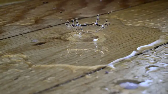 Water droplets pooled on wood floor planks