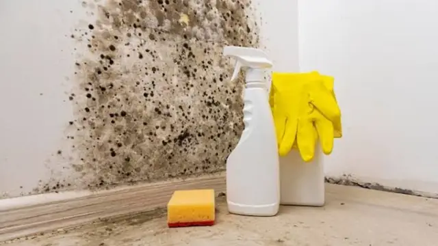 Black mold spots on a wall beside spray bottles, a sponge and gloves